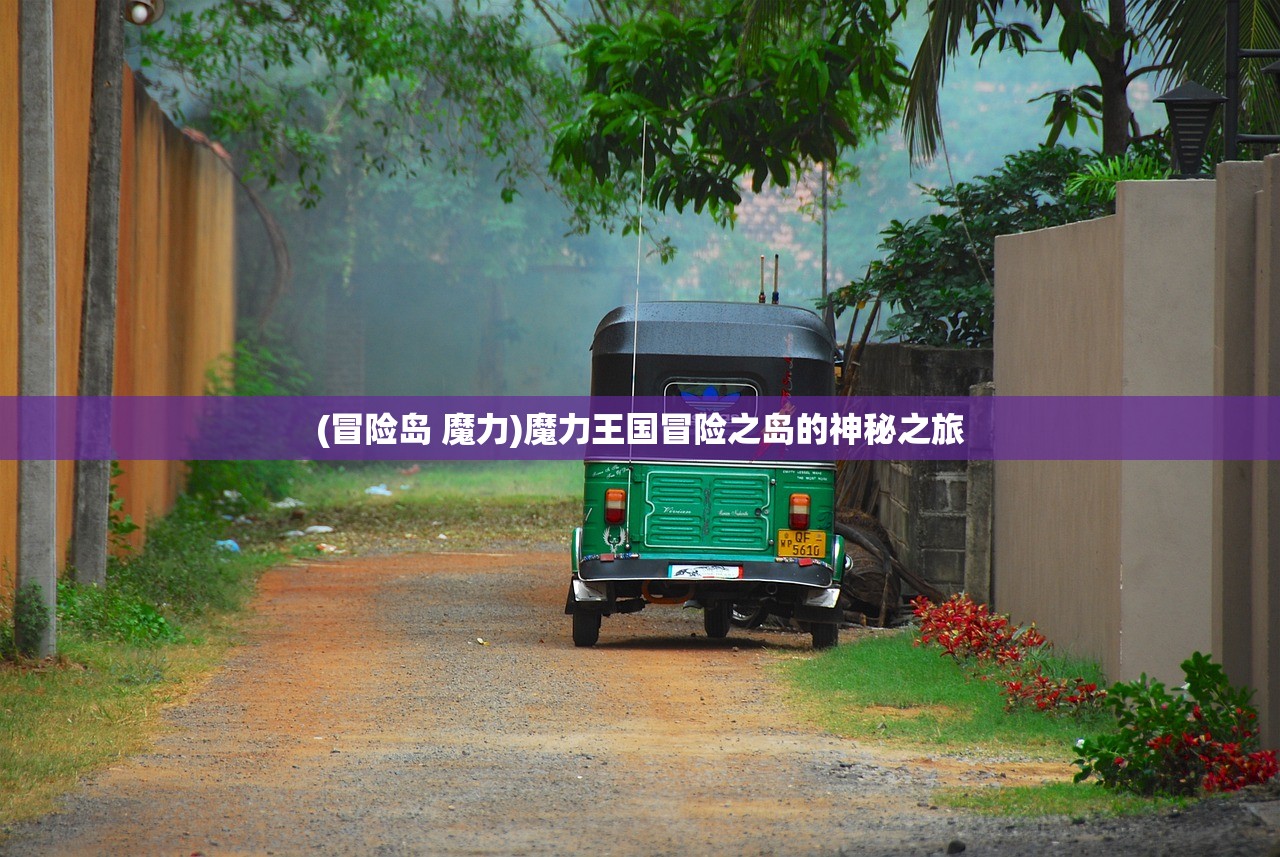 (冒险岛 魔力)魔力王国冒险之岛的神秘之旅