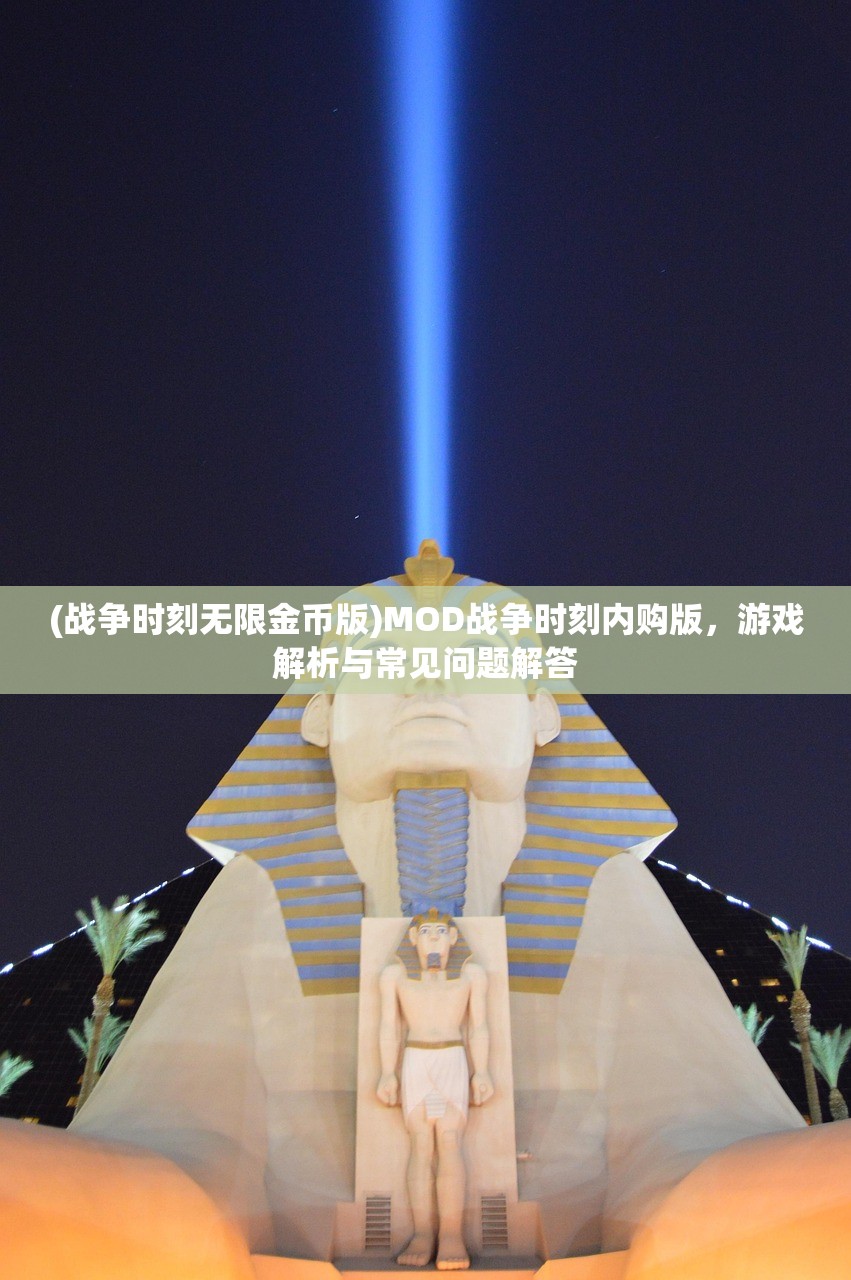 (战争时刻无限金币版)MOD战争时刻内购版，游戏解析与常见问题解答